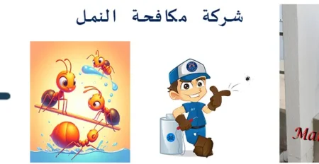 شركة مكافحة النمل الابيض بحفر الباطن للايجار 01032650790