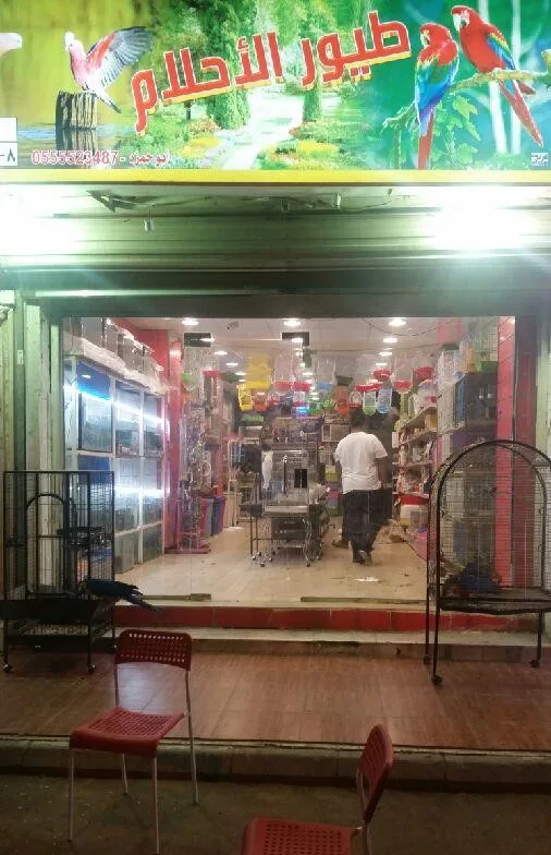 أفضل محلات الطيور في الطائف