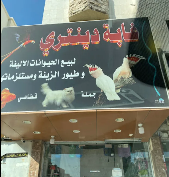 أفضل محلات الطيور في الطائف
