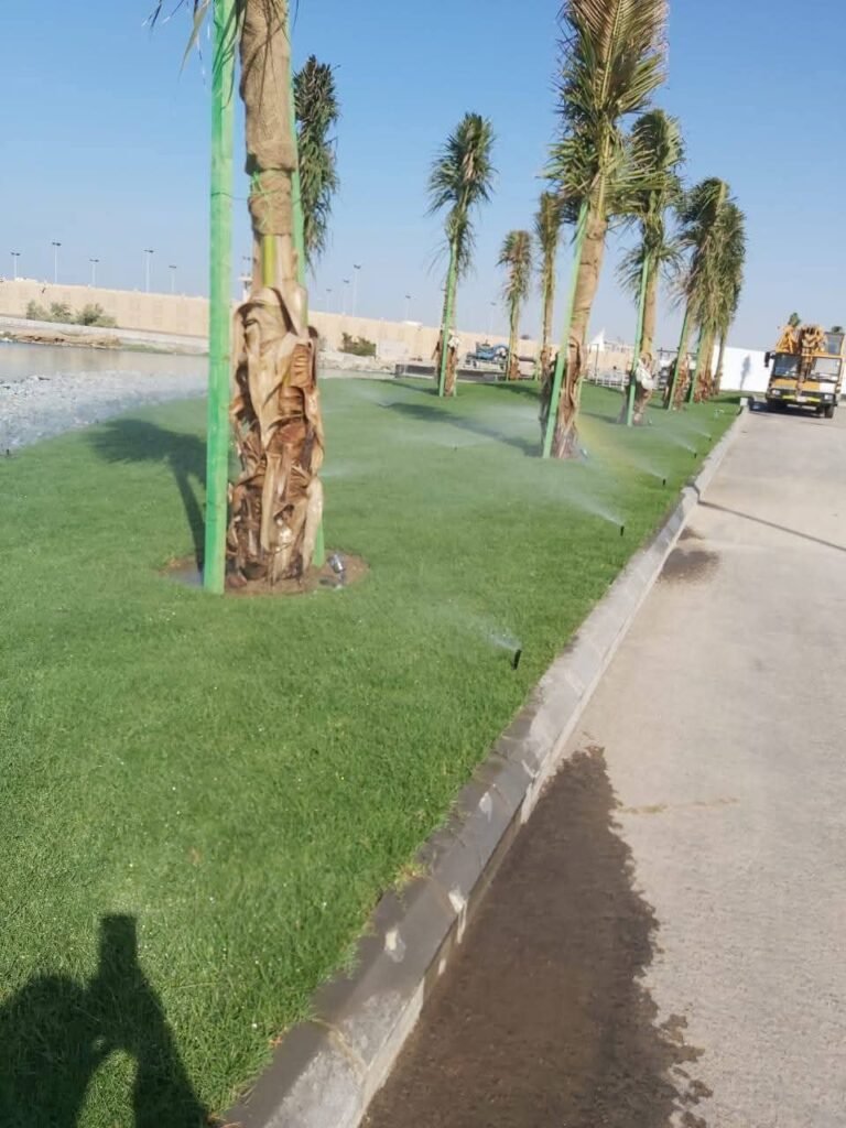 تلقيم النخيل