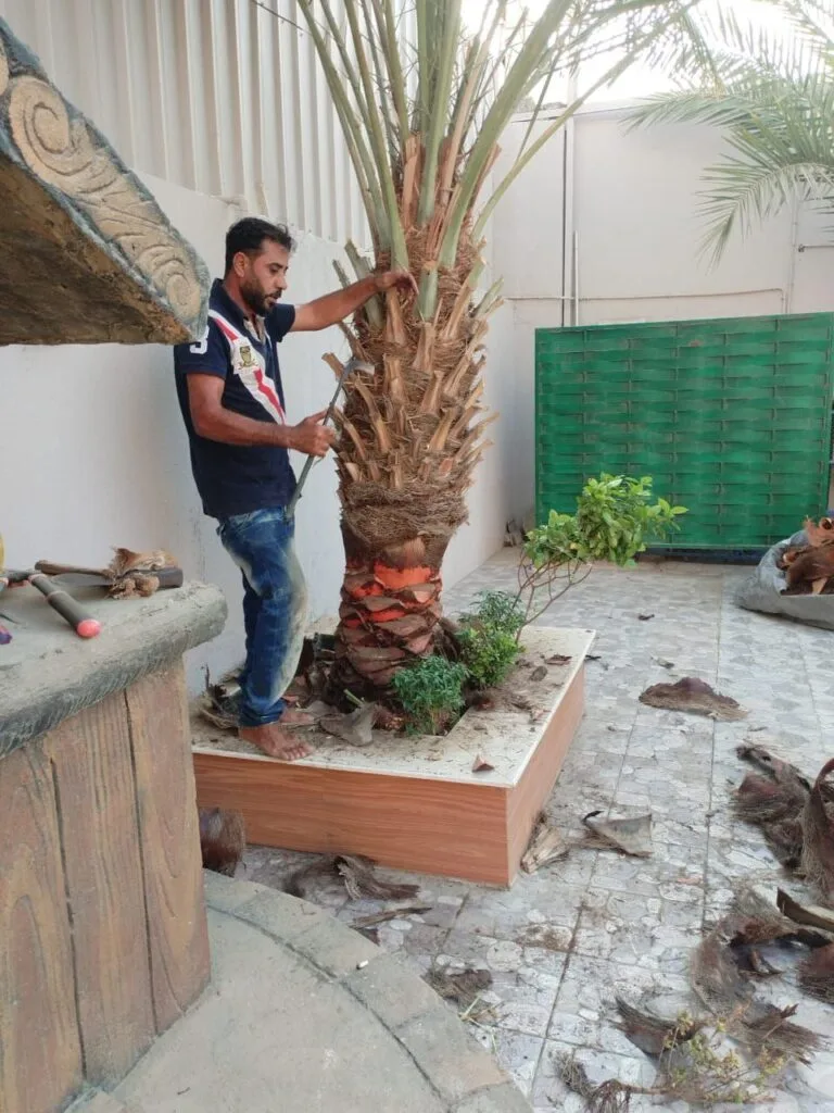 قص الاشجار