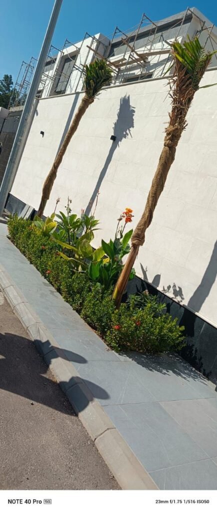 تكريب نخيل بجده