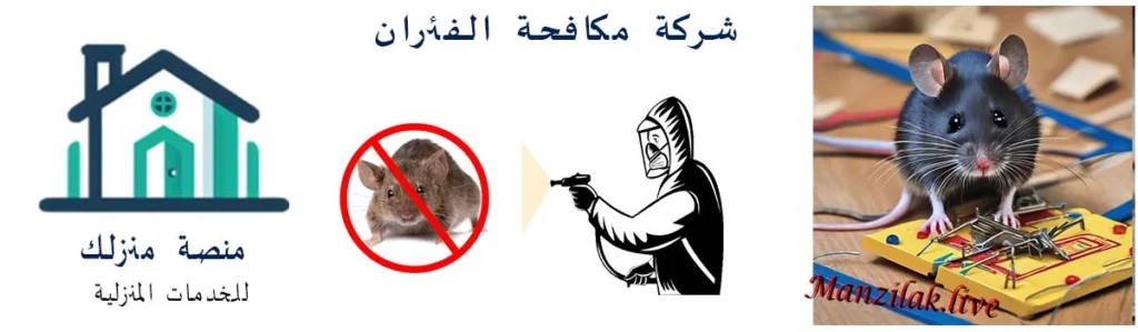 شركة ابادة الفئران