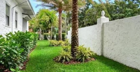 قص وتقليم الاشجار والنخيل برابغ للايجار 01032650790