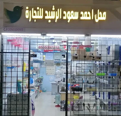 أفضل محلات الطيور في الدمام