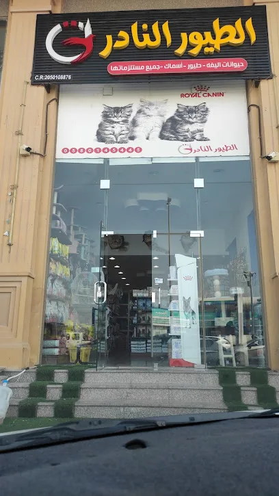 أفضل محلات الطيور في الدمام