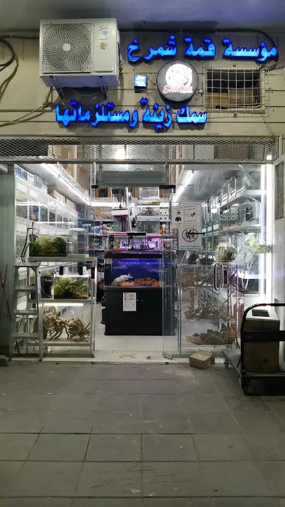 أفضل محلات الطيور في الرياض