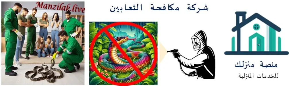 خدمات شركات مكافحة الثعابين بالطائف توضح خطورة الثعابين