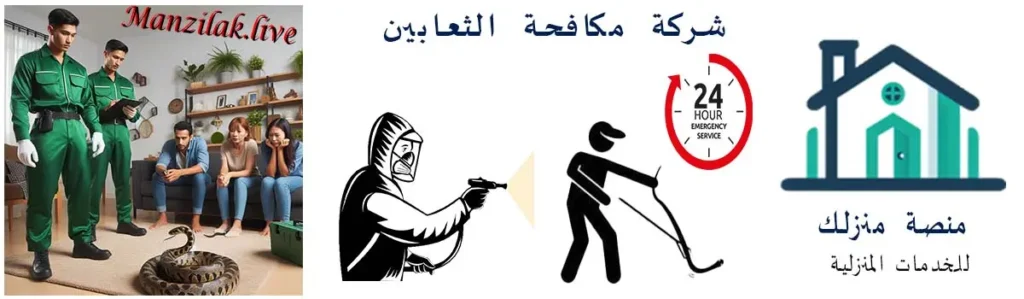 شركة مكافحة الأفاعي بالمدينة المنورة وأنواع الثعابين