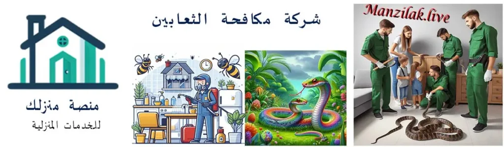 شركة مكافحة الثعابين بمكة